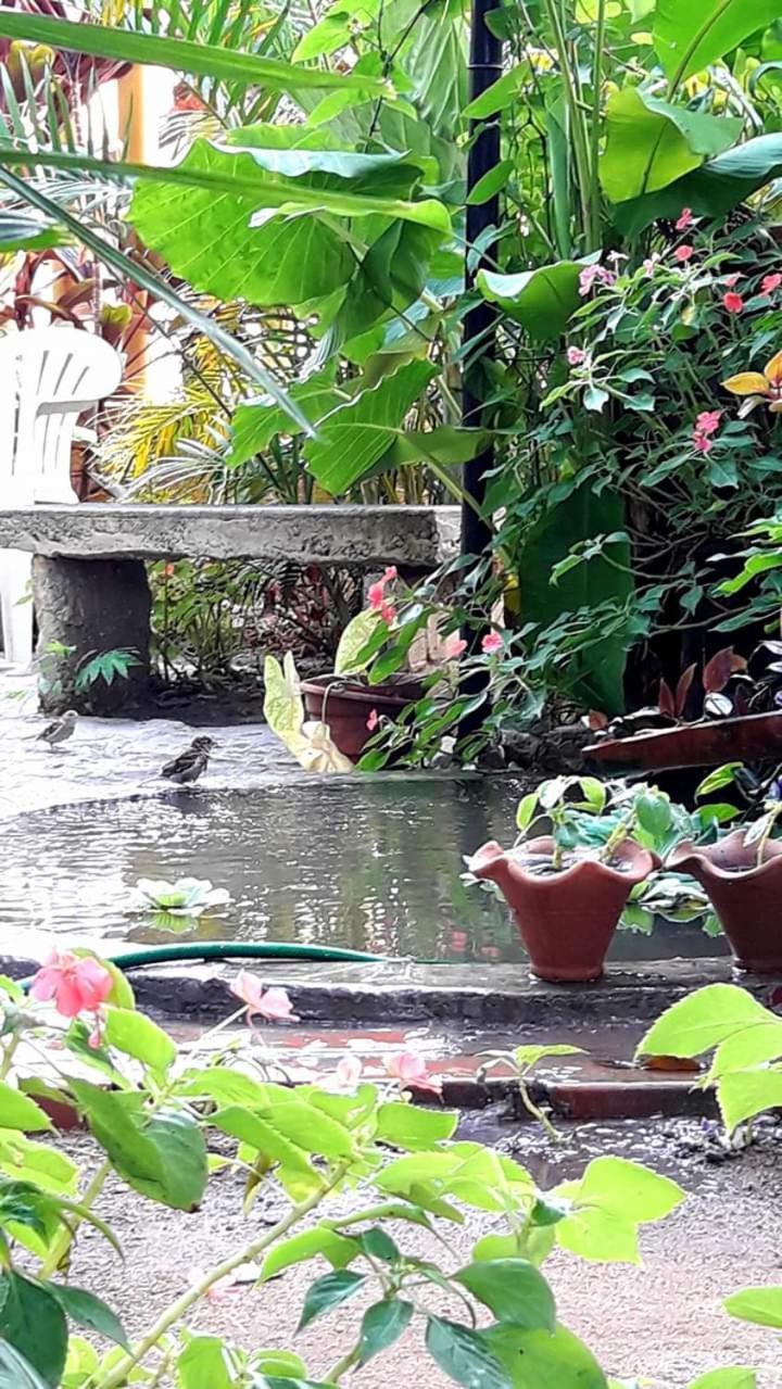 Guest house Brumar Rio de Janeiro