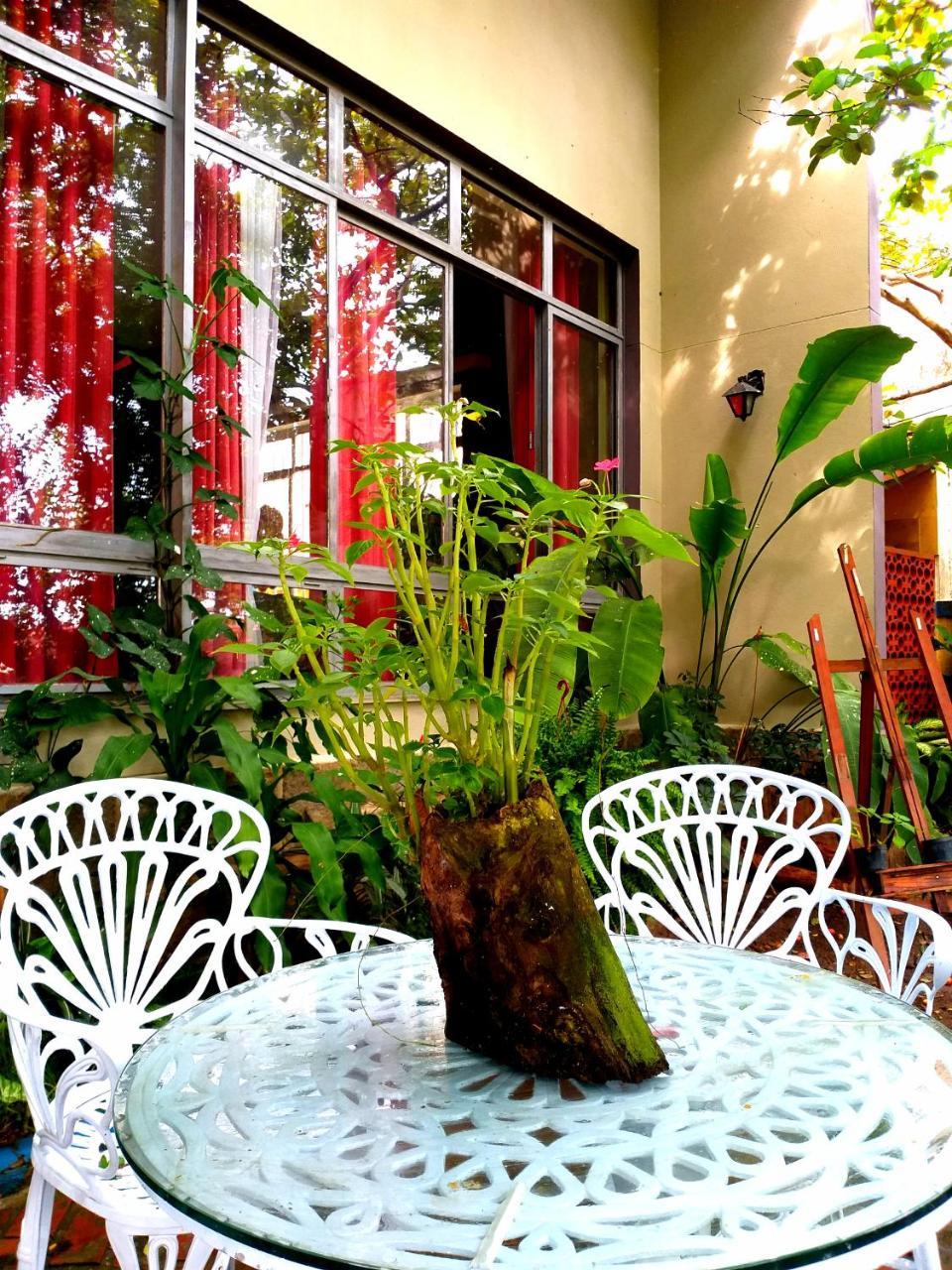 Brumar Guest house
